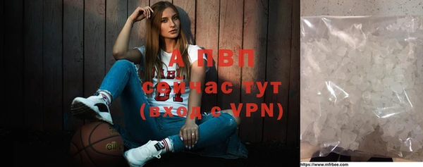 стаф Абаза