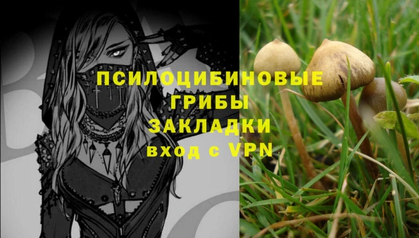 ПСИЛОЦИБИНОВЫЕ ГРИБЫ Мегион