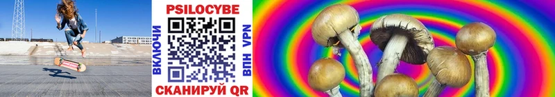 darknet клад  Химки  Галлюциногенные грибы Psilocybine cubensis 